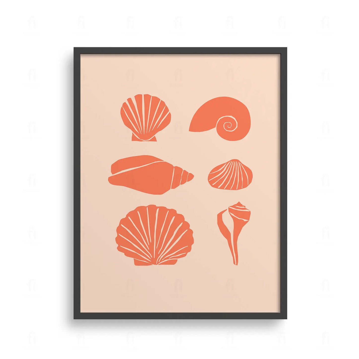 Plakat w formie tablicy edukacyjnej, przedstawiający różne rodzaje muszli morskich.