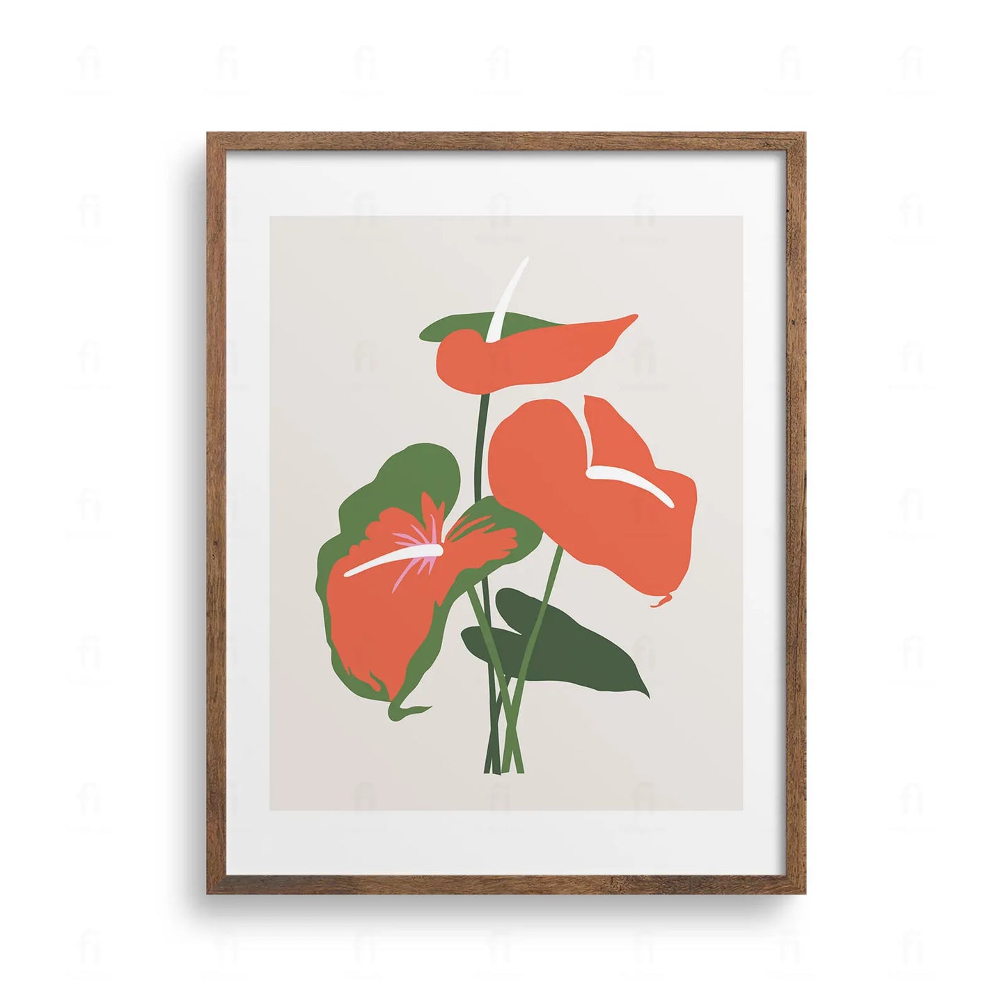 Plakat z grafiką botaniczną przedstawiającą duży, czerwony kwiat anturium z zielonymi liśćmi.