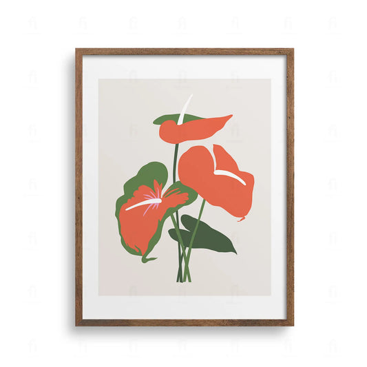 Plakat z grafiką botaniczną przedstawiającą duży, czerwony kwiat anturium z zielonymi liśćmi.