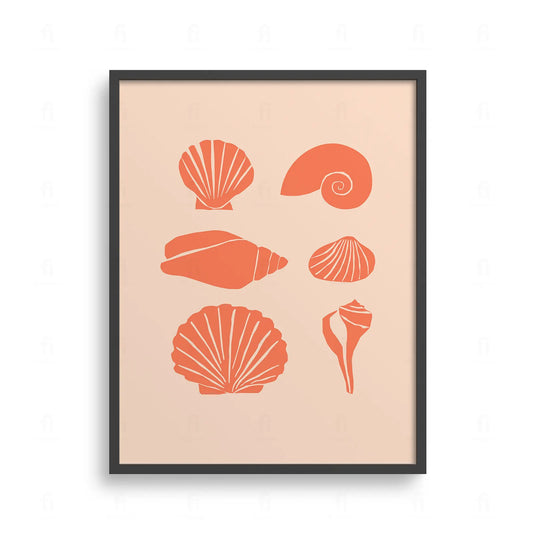 Plakat w formie tablicy edukacyjnej, przedstawiający różne rodzaje muszli morskich.