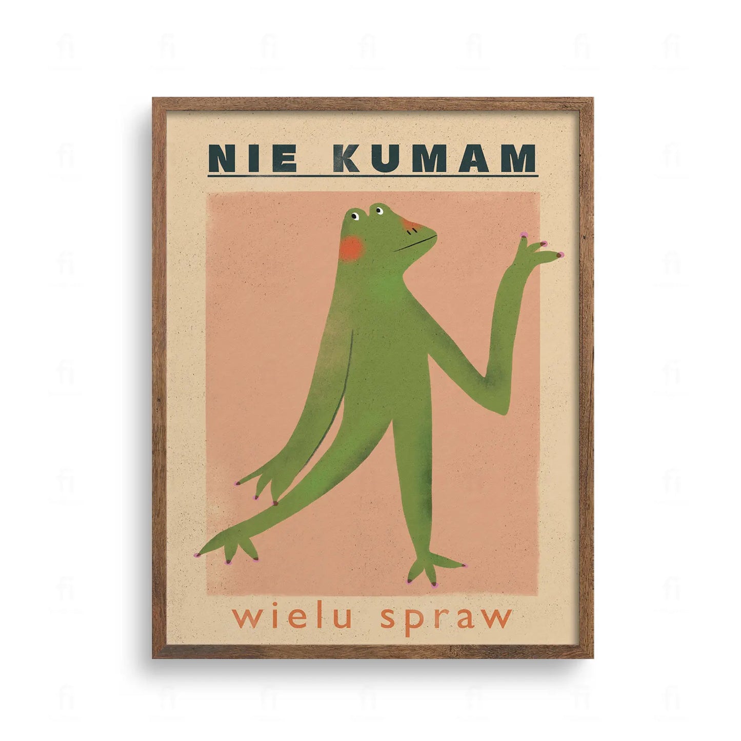 Śmieszny plakat z żabą i napisem Nie kumam wielu spraw. Ilustracja w stylu retro, zielona żaba na różowym tle.