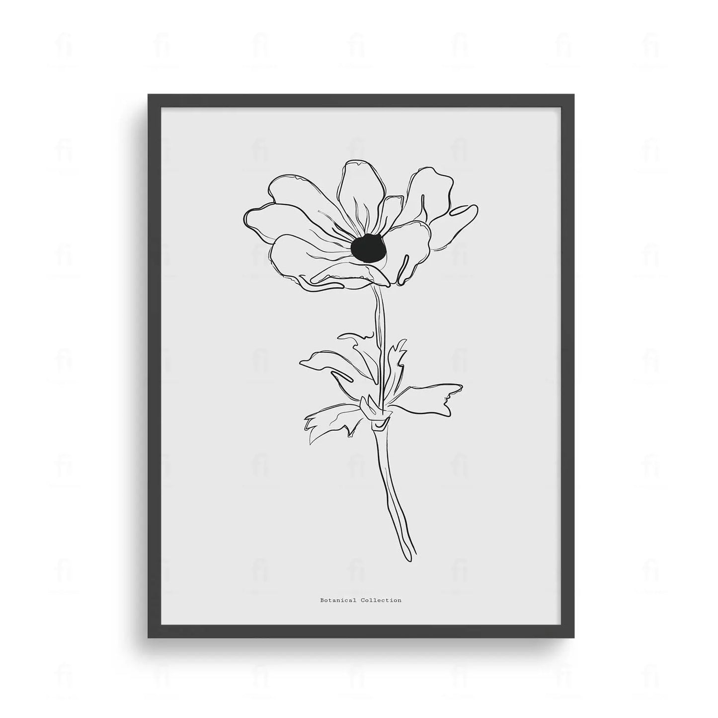 Plakat z czarno-białą grafiką line art przedstawiającą kwiat anemonu.
