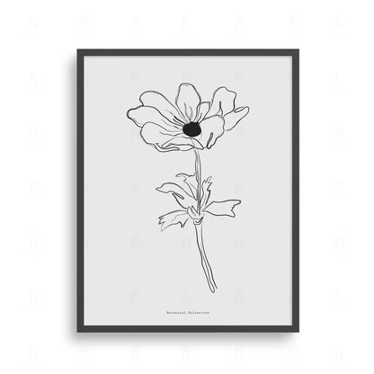 Plakat z czarno-białą grafiką line art przedstawiającą kwiat anemonu.

