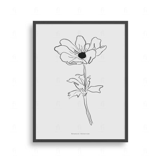 Plakat z czarno-białą grafiką line art przedstawiającą kwiat anemonu.
