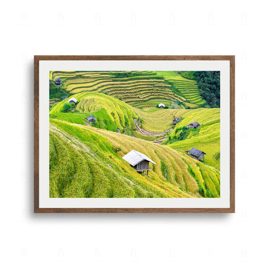 Soczyście zielone, warstwowe tarasy ryżowe na wzgórzach w Wietnamie z małymi, drewnianymi chatkami.
