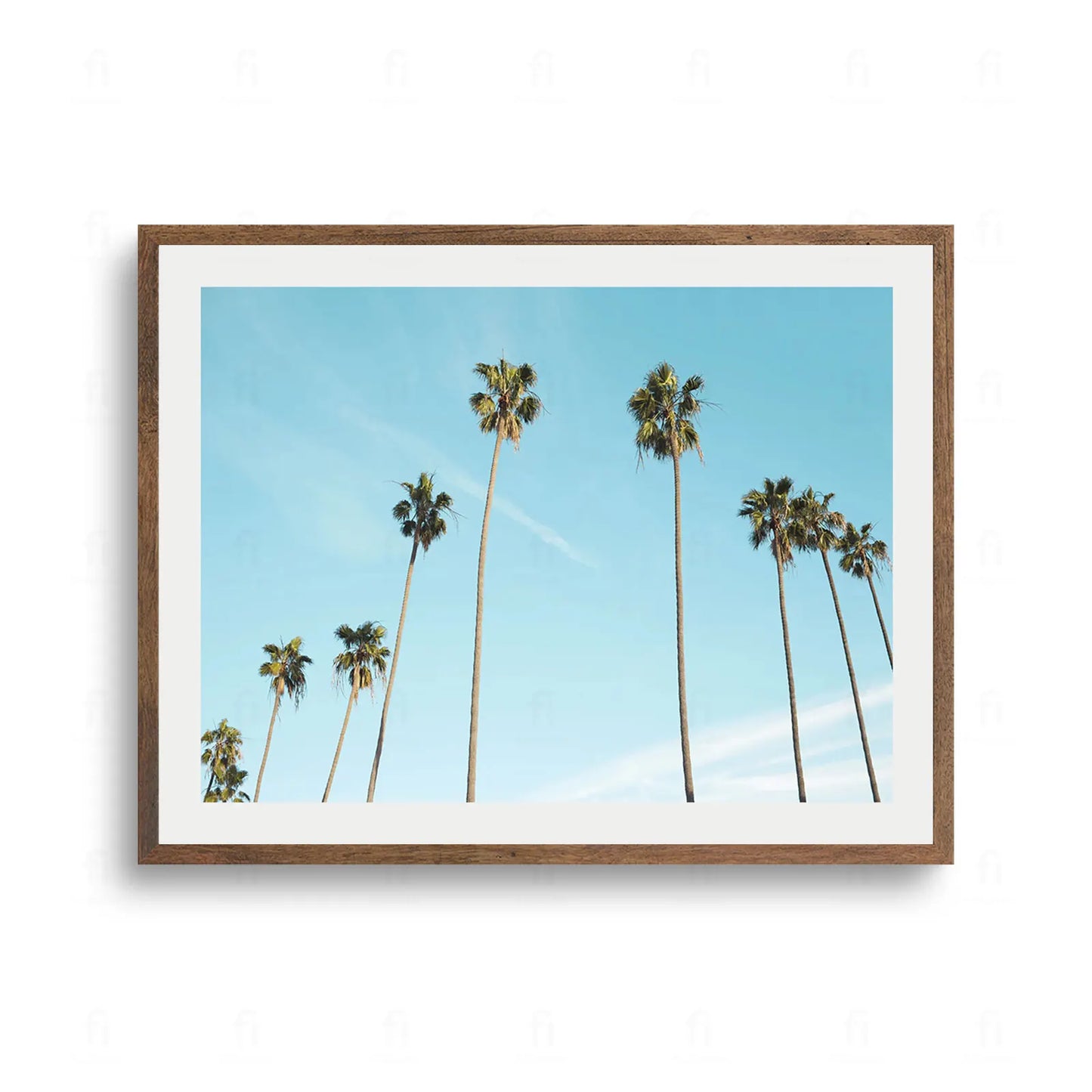 Rząd wysokich, smukłych palm na tle czystego, błękitnego nieba. Letni krajobraz.