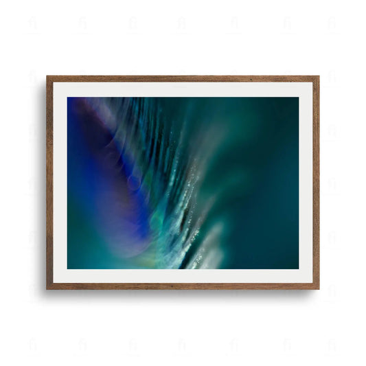 Artystyczne zbliżenie makro na pawie pióro w rozmytych, głębokich odcieniach morskiej zieleni, turkusu i granatu.